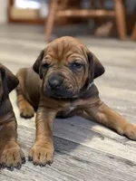 processed/307b7592-3b97-4b17-9f47-60993d6c32fd/listing/e12a74aa-8d41-4650-bbbd-9f5c9b6e48aa/4d1af40c-5035-4137-94cf-dd7476246247