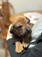 processed/307b7592-3b97-4b17-9f47-60993d6c32fd/listing/e12a74aa-8d41-4650-bbbd-9f5c9b6e48aa/a2b12973-0baf-4dda-8f07-656fc2b0f041