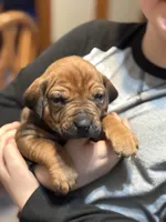 processed/307b7592-3b97-4b17-9f47-60993d6c32fd/listing/e12a74aa-8d41-4650-bbbd-9f5c9b6e48aa/cc66c99f-b4e7-4cc4-aff6-751d5c44a1d4