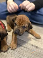 processed/307b7592-3b97-4b17-9f47-60993d6c32fd/listing/e12a74aa-8d41-4650-bbbd-9f5c9b6e48aa/e2d21e22-504c-4486-988b-088ec626e3f3