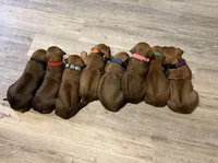 processed/307b7592-3b97-4b17-9f47-60993d6c32fd/listing/e12a74aa-8d41-4650-bbbd-9f5c9b6e48aa/f2397ef7-0f7d-4ea5-a177-71462248e99a