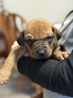 processed/307b7592-3b97-4b17-9f47-60993d6c32fd/listing/f4fdf97c-a1db-4378-bbc7-6516a2e96fef/0165a50b-b5c4-4c85-a046-d3343c4fc582