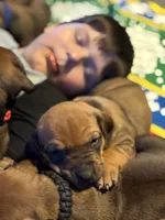 processed/307b7592-3b97-4b17-9f47-60993d6c32fd/listing/f4fdf97c-a1db-4378-bbc7-6516a2e96fef/27caac63-4e05-4e42-aa43-0d28313f18c6