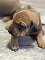 processed/307b7592-3b97-4b17-9f47-60993d6c32fd/listing/f4fdf97c-a1db-4378-bbc7-6516a2e96fef/bbac80c3-1eea-4a0c-9859-5ed4e017c89c