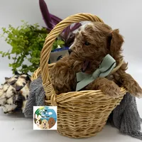 Pinot Noir - AKC, a male Poodle - Toy  for sale in Rockport, TX – 3 of 3