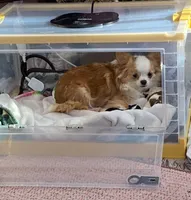 processed/3087c841-1149-493f-bfab-86da12c90166/facility/aa3dde56-750a-43cc-84af-c87d5850da76