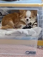 processed/3087c841-1149-493f-bfab-86da12c90166/facility/facc875b-0620-421c-9d5d-2a28b87b2260