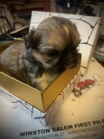 processed/308a59d7-50d0-499d-9bf2-76e3b41e778f/listing/08a23e22-1be7-4040-a776-3d52bcf8e815/12124232-2357-4d05-903e-f01a79507259