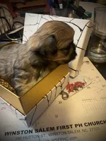 processed/308a59d7-50d0-499d-9bf2-76e3b41e778f/listing/08a23e22-1be7-4040-a776-3d52bcf8e815/28e4948d-566d-4c29-9753-0d33aca8452d