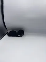 Puncho, a male Shorkie for sale in Douglasville, GA – Photo 2 of 9