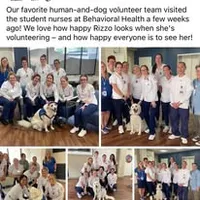 Therapy or service puppy, a female Golden Retriever for sale in Osceola, IA – 6 of 10