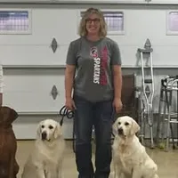 Therapy or service puppy, a female Golden Retriever for sale in Osceola, IA – 7 of 10