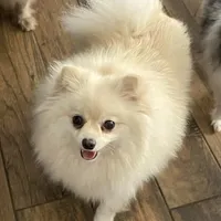 processed/30aa45d7-ece1-4fd8-9010-cfb1225018c5/facility/a1ea35cd-271b-44b7-89b6-b4872b602c12