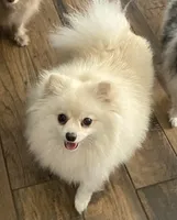 processed/30aa45d7-ece1-4fd8-9010-cfb1225018c5/facility/a1ea35cd-271b-44b7-89b6-b4872b602c12