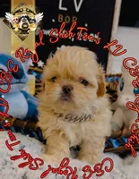 processed/30b0360d-ea9a-4d6b-9026-5b9b91cbfc98/listing/09330977-1b93-444b-8c14-622feaefeca6/12f8b819-151b-4926-8737-e334ec92c4de