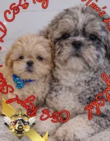 processed/30b0360d-ea9a-4d6b-9026-5b9b91cbfc98/listing/09330977-1b93-444b-8c14-622feaefeca6/6f1484f9-5268-4dd8-884a-522058bd149f