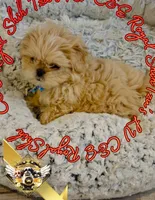 processed/30b0360d-ea9a-4d6b-9026-5b9b91cbfc98/listing/09330977-1b93-444b-8c14-622feaefeca6/79078a64-d415-4342-adcb-53c3f4f001eb