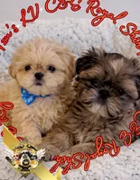 processed/30b0360d-ea9a-4d6b-9026-5b9b91cbfc98/listing/09330977-1b93-444b-8c14-622feaefeca6/9fd91a87-249c-4fb6-a4db-170d0ea58476