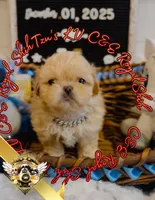 processed/30b0360d-ea9a-4d6b-9026-5b9b91cbfc98/listing/09330977-1b93-444b-8c14-622feaefeca6/d967c433-f174-4928-be6b-cd431ab77415