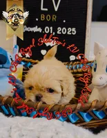 processed/30b0360d-ea9a-4d6b-9026-5b9b91cbfc98/listing/09330977-1b93-444b-8c14-622feaefeca6/da5e436c-4731-4497-ac63-cdee39f4a72d