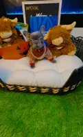 Chanel, a female French Bulldog for sale in Watkinsville, GA – 5 of 7