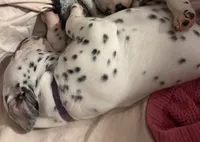 processed/30b18e6a-b4a6-4de6-8b87-9e44e5f7d79f/listing/0cdfb484-86d1-4ab0-8672-4b76b2f62d80/23697fa6-4c28-42d3-ad41-442a5fde7414