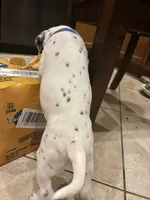 processed/30b18e6a-b4a6-4de6-8b87-9e44e5f7d79f/listing/9e4c28ca-afe5-49f8-9692-bbdf654f5505/a73cd5c6-b921-497c-a286-151215406bec