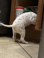 processed/30b18e6a-b4a6-4de6-8b87-9e44e5f7d79f/listing/9e4c28ca-afe5-49f8-9692-bbdf654f5505/f5094414-b606-4548-a08d-207ba59ea9d5