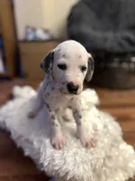 processed/30b18e6a-b4a6-4de6-8b87-9e44e5f7d79f/listing/c95f85be-4cdd-4ea4-b6f0-2cbdd594e84c/0d7f3168-fbcb-4552-baaf-8a1e20ce1ee6