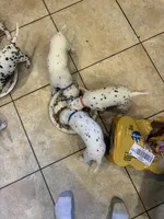 processed/30b18e6a-b4a6-4de6-8b87-9e44e5f7d79f/listing/c95f85be-4cdd-4ea4-b6f0-2cbdd594e84c/f55b2ce9-a3f6-43d8-a913-36c688703e8f