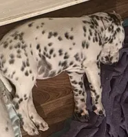 processed/30b18e6a-b4a6-4de6-8b87-9e44e5f7d79f/listing/fe61eec3-dd29-48c0-9d41-c377d250dd9d/1df07ba6-ae12-43a4-bab9-26b1016bbb1c