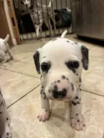 processed/30b18e6a-b4a6-4de6-8b87-9e44e5f7d79f/listing/fe61eec3-dd29-48c0-9d41-c377d250dd9d/c6ad191e-1927-4956-8dec-4ba53408365b