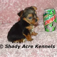 processed/30b5037a-b38c-496a-bcaa-7b1ee2f2b3da/facility/0ac5acc7-8ebf-42ff-85f9-a9754d1f7184