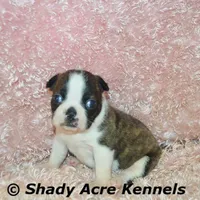 processed/30b5037a-b38c-496a-bcaa-7b1ee2f2b3da/facility/2b6e1066-54c5-48f1-a0fd-52adb71b79ff