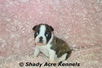 processed/30b5037a-b38c-496a-bcaa-7b1ee2f2b3da/facility/2b6e1066-54c5-48f1-a0fd-52adb71b79ff