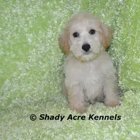 processed/30b5037a-b38c-496a-bcaa-7b1ee2f2b3da/facility/312a0e21-e9e5-44a6-ba83-5c7cb88af1ab