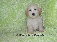 processed/30b5037a-b38c-496a-bcaa-7b1ee2f2b3da/facility/312a0e21-e9e5-44a6-ba83-5c7cb88af1ab