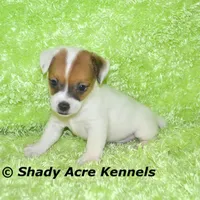 processed/30b5037a-b38c-496a-bcaa-7b1ee2f2b3da/facility/3af3c822-48af-4917-9290-b3b2d05eab85