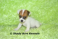 processed/30b5037a-b38c-496a-bcaa-7b1ee2f2b3da/facility/3af3c822-48af-4917-9290-b3b2d05eab85