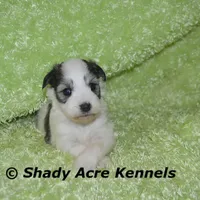 processed/30b5037a-b38c-496a-bcaa-7b1ee2f2b3da/facility/638f8092-911a-41ad-bcdd-e90fe5c36699