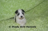 processed/30b5037a-b38c-496a-bcaa-7b1ee2f2b3da/facility/638f8092-911a-41ad-bcdd-e90fe5c36699