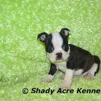 processed/30b5037a-b38c-496a-bcaa-7b1ee2f2b3da/facility/6e7ed31b-75a2-45e2-84b9-d14d8121cde9