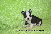 processed/30b5037a-b38c-496a-bcaa-7b1ee2f2b3da/facility/6e7ed31b-75a2-45e2-84b9-d14d8121cde9