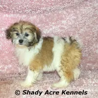 processed/30b5037a-b38c-496a-bcaa-7b1ee2f2b3da/facility/8ecd2440-e076-454a-9c03-46e544706a14