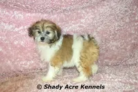 processed/30b5037a-b38c-496a-bcaa-7b1ee2f2b3da/facility/8ecd2440-e076-454a-9c03-46e544706a14