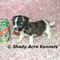 processed/30b5037a-b38c-496a-bcaa-7b1ee2f2b3da/facility/f94b71b2-f18a-472f-82af-d6503df6243e