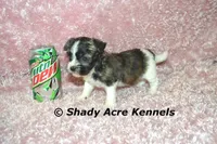 processed/30b5037a-b38c-496a-bcaa-7b1ee2f2b3da/facility/f94b71b2-f18a-472f-82af-d6503df6243e