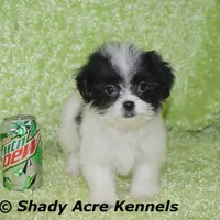 processed/30b5037a-b38c-496a-bcaa-7b1ee2f2b3da/facility/fdd93f2a-4602-4122-b5f0-2fb0f312aa79