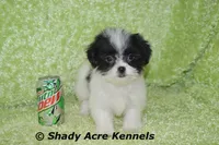 processed/30b5037a-b38c-496a-bcaa-7b1ee2f2b3da/facility/fdd93f2a-4602-4122-b5f0-2fb0f312aa79