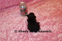 processed/30b5037a-b38c-496a-bcaa-7b1ee2f2b3da/listing/06dea6c9-6885-4088-a32c-0a4e2f054d86/2271e358-2970-4622-8cb0-255bc30ce596